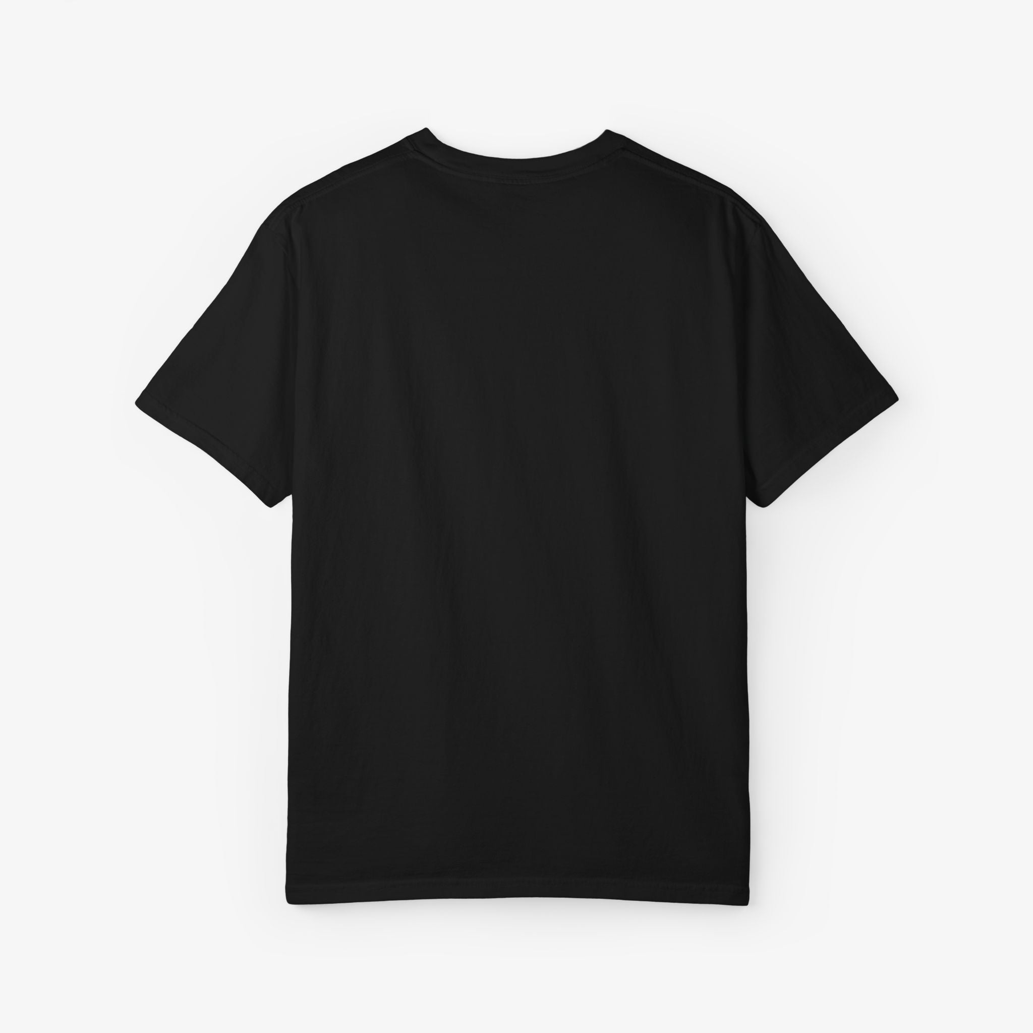 The Fallen Angel T Shirt