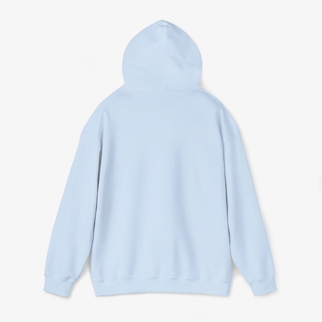 Copy of Copy of Copy of Unisex Heavy Blend™ Hooded Sweatshirt