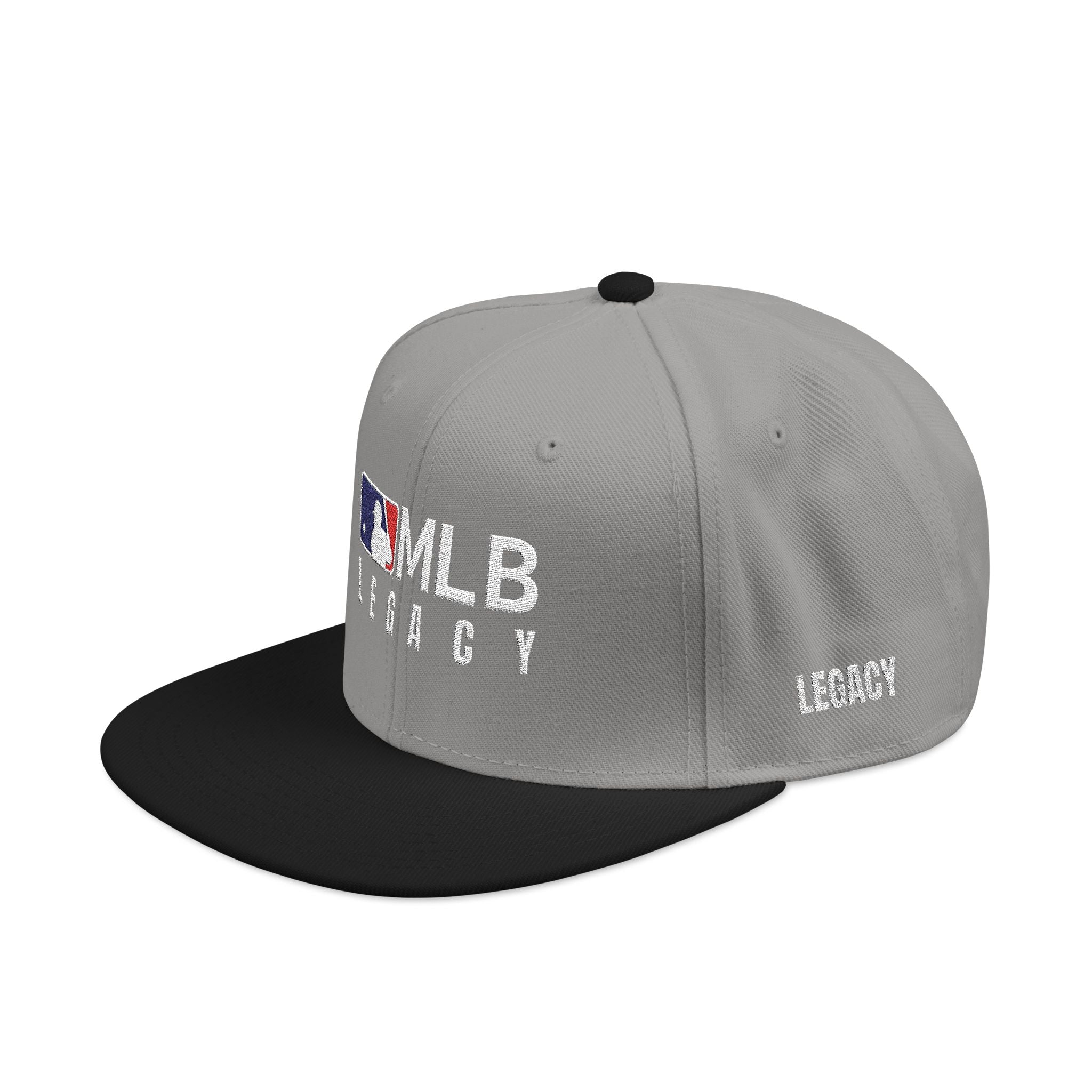 Embroidered Snapback Dual tone Hat
