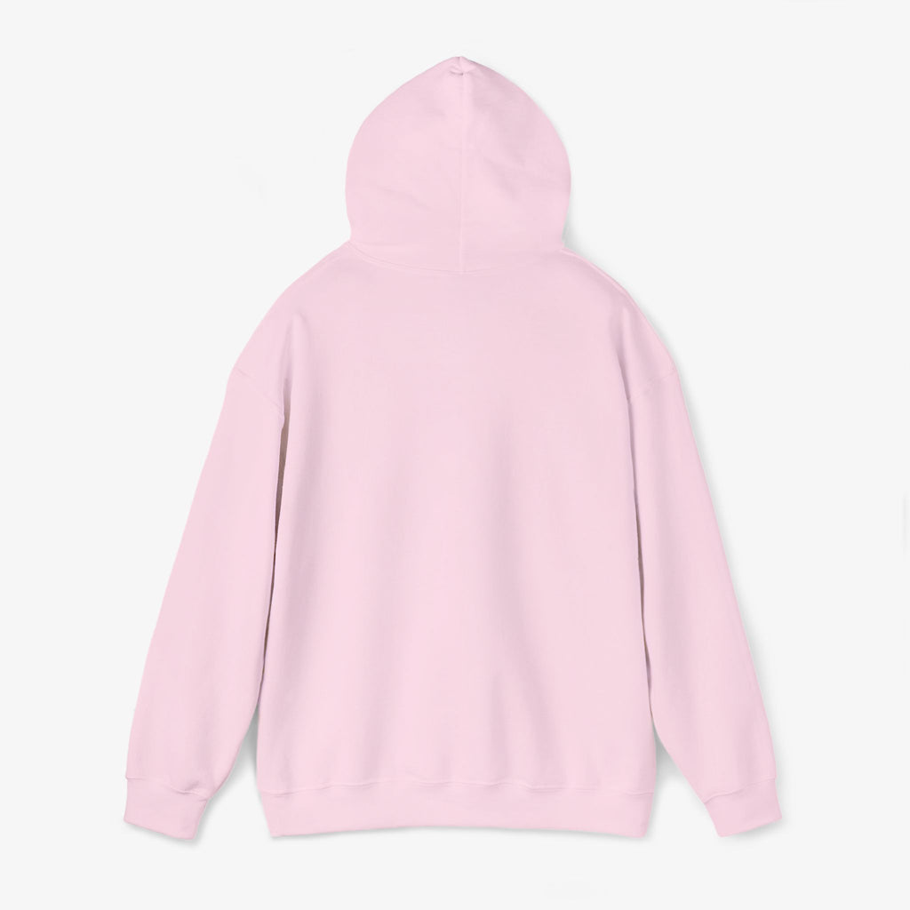 Copy of Unisex Heavy Blend™ Hooded Sweatshirt