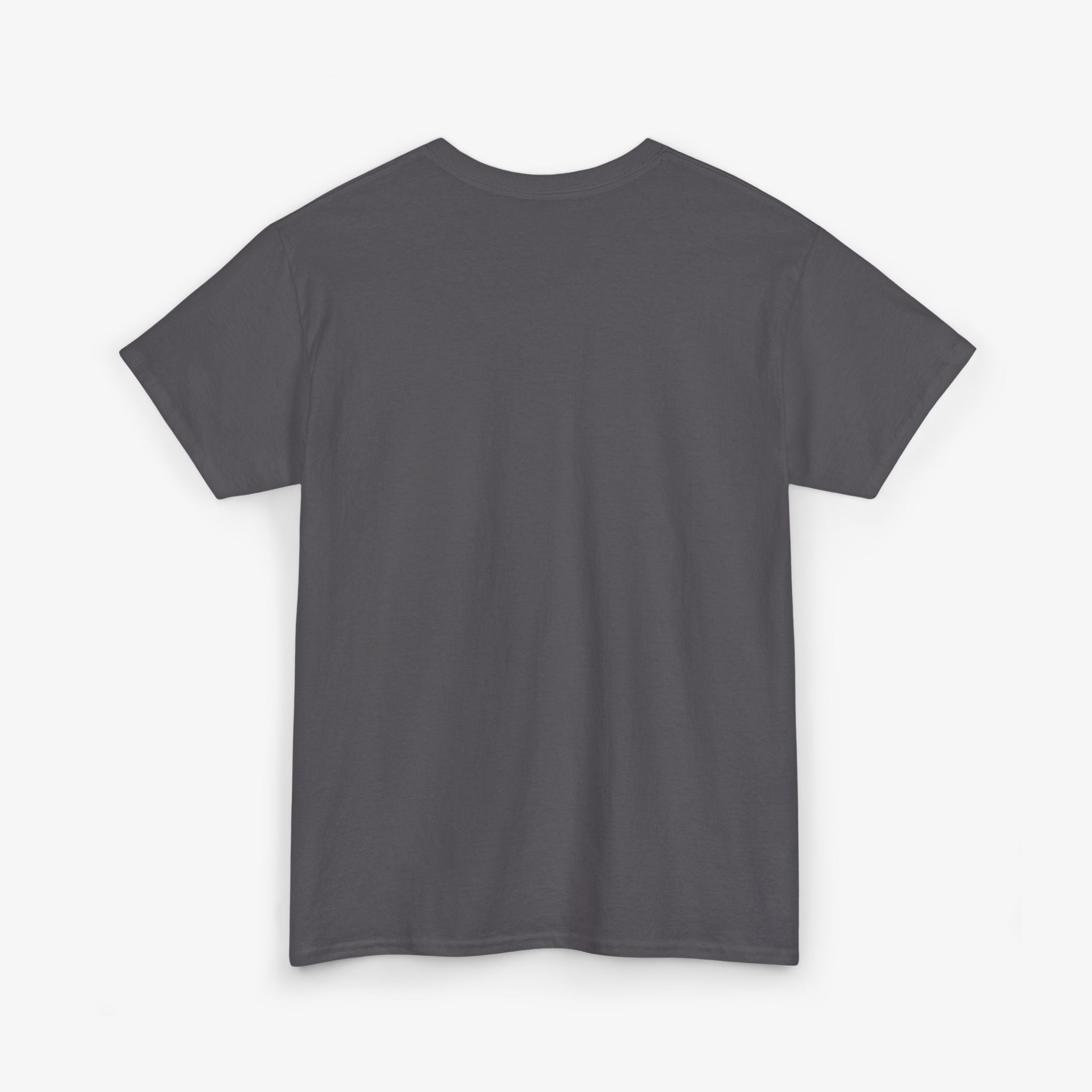 Keep Calm and Follow the Guidelines T Shirt – Travel Edition