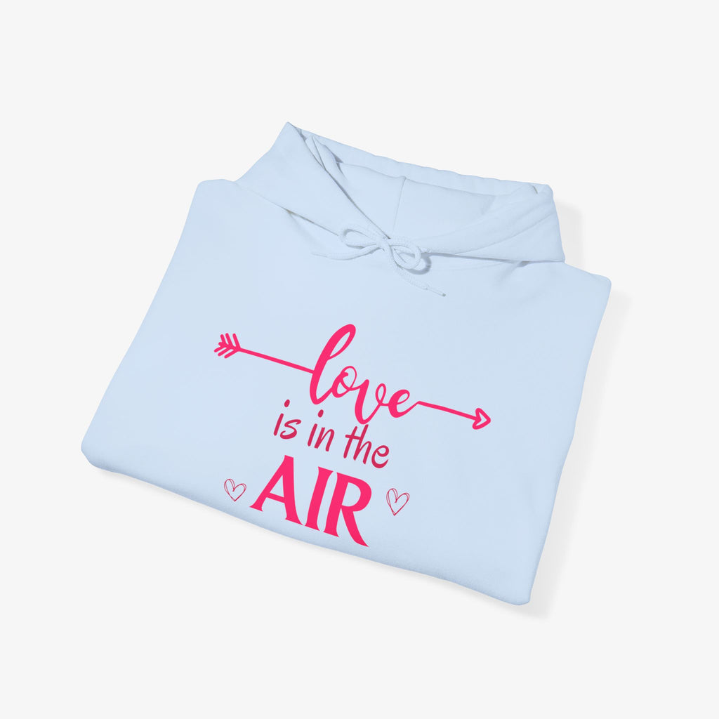 Copy of Copy of Copy of Unisex Heavy Blend™ Hooded Sweatshirt