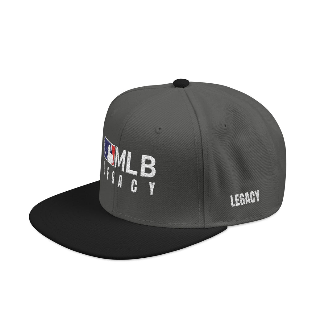 Embroidered Snapback Dual tone Hat