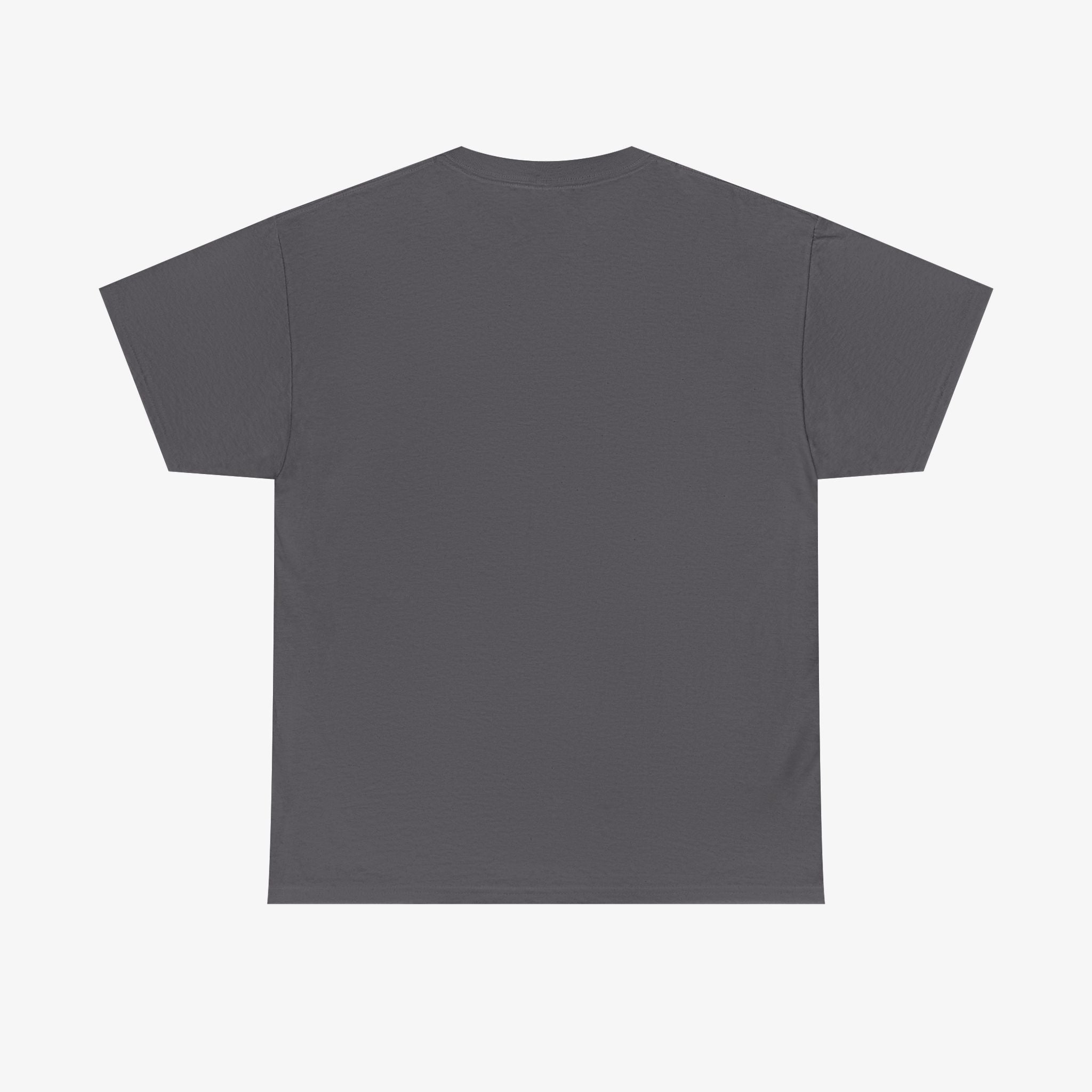Keep Calm and Follow the Guidelines T Shirt – Travel Edition
