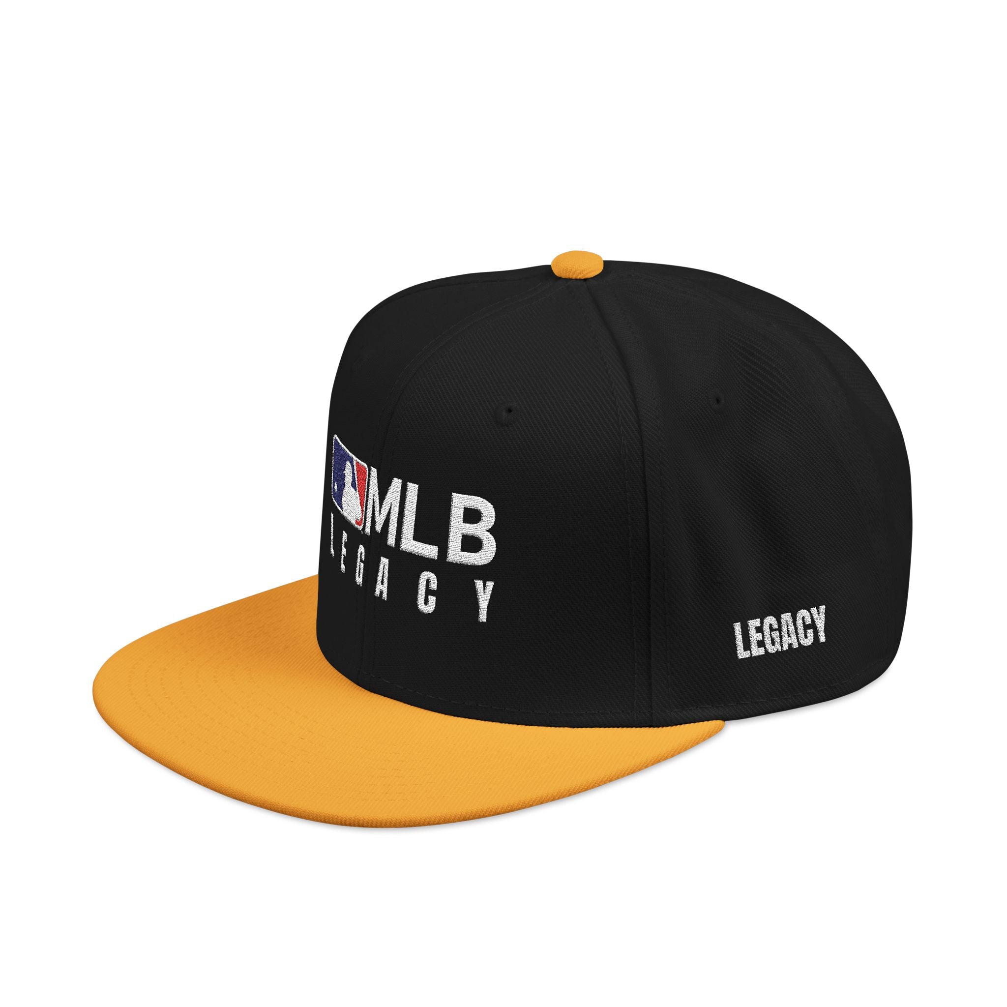Embroidered Snapback Dual tone Hat