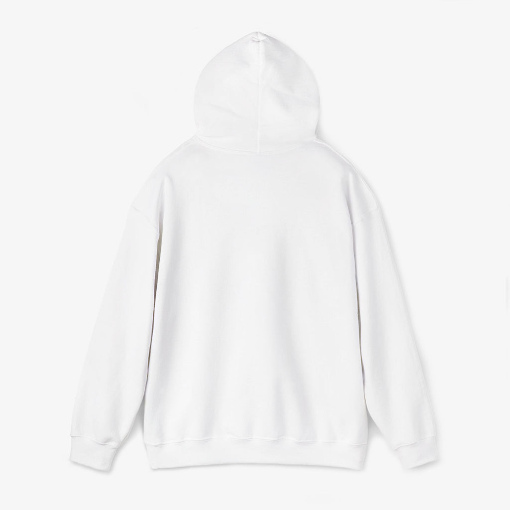 Copy of Copy of Copy of Unisex Heavy Blend™ Hooded Sweatshirt