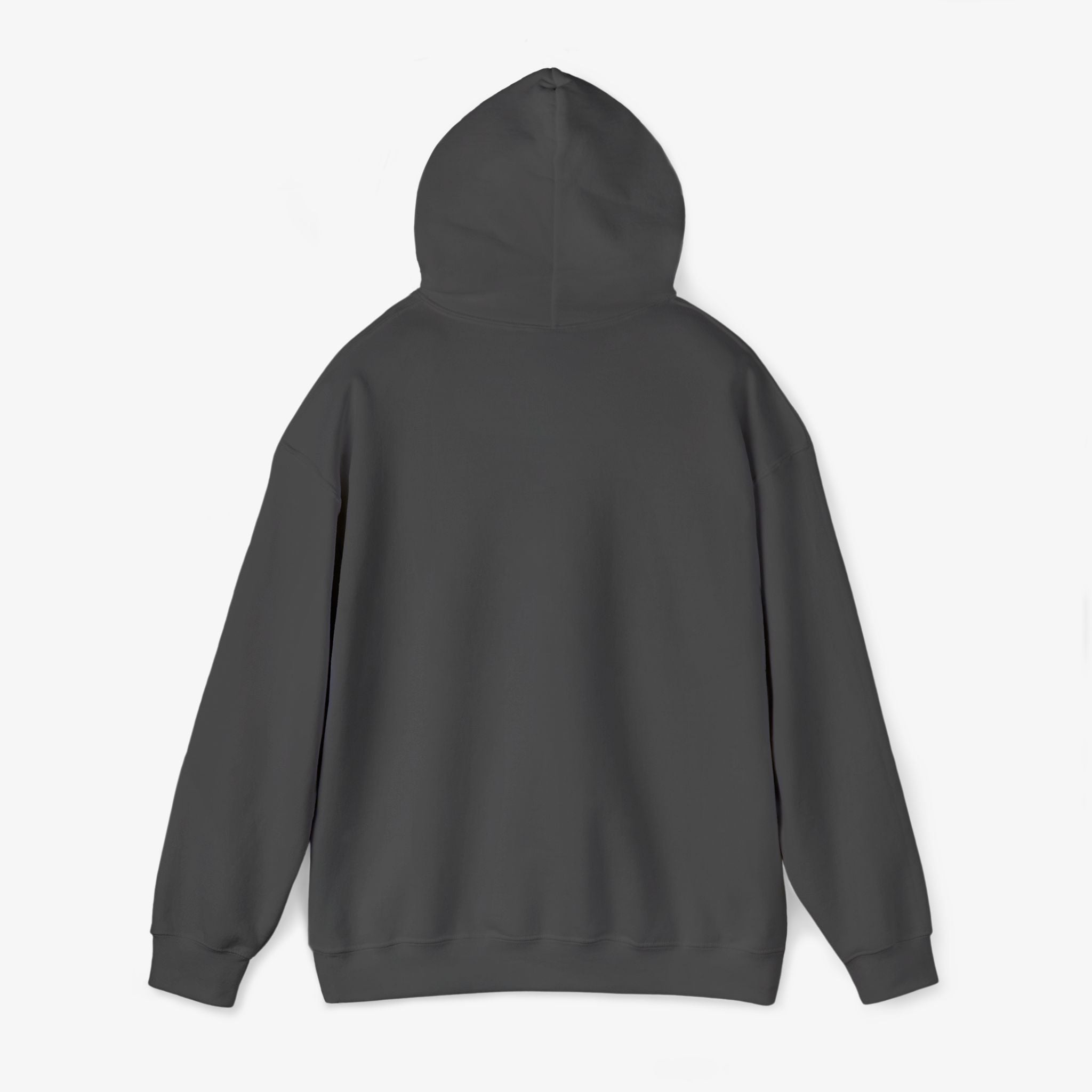 Legacy Embroidered Hoodie by Fabrikoz