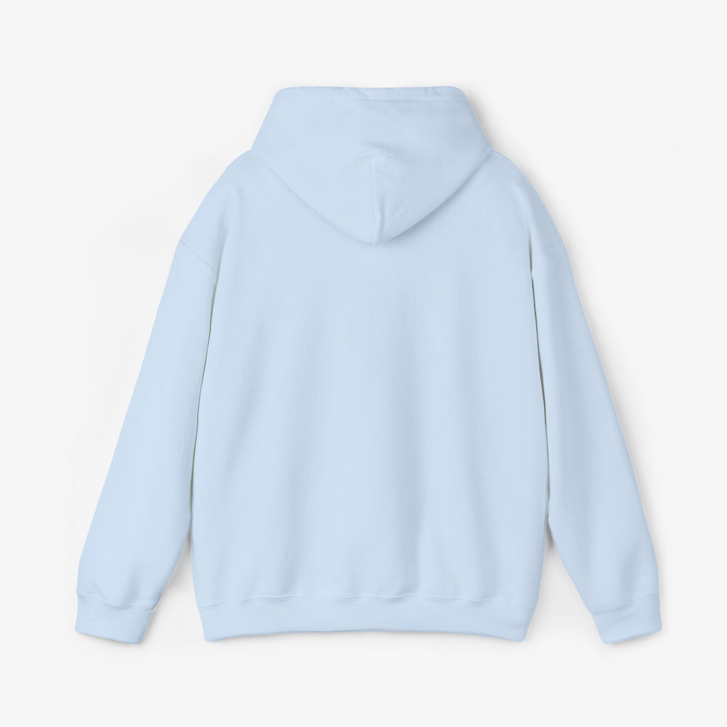 Copy of Unisex Heavy Blend™ Hooded Sweatshirt